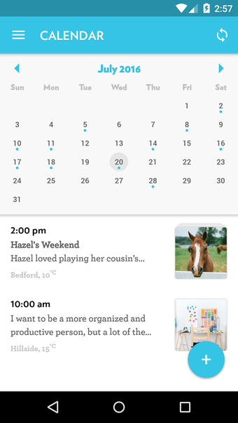 Imagen 1 para Journey: Diary, Journal