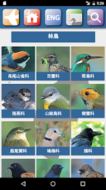 Image 0 for Taiwan Birds