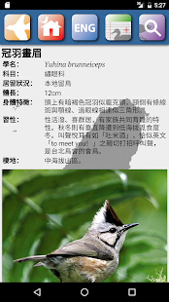 Image 1 for Taiwan Birds