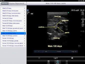 Image 6 for Advanced Equine Reproduct…