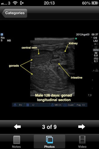Image 5 for Advanced Equine Reproduct…