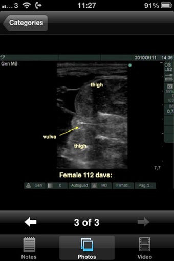 Image 7 for Advanced Equine Reproduct…