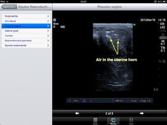 Image 3 for Advanced Equine Reproduct…
