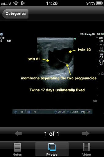 Image 1 for Advanced Equine Reproduct…