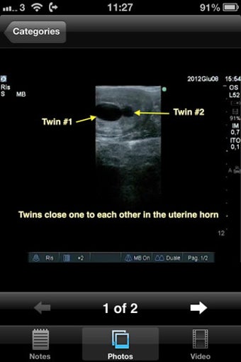 Image 4 for Advanced Equine Reproduct…