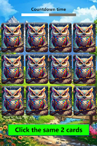 Imagen 0 para TwinFlip