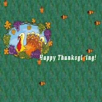 Image 0 for Turkey Screensaver
