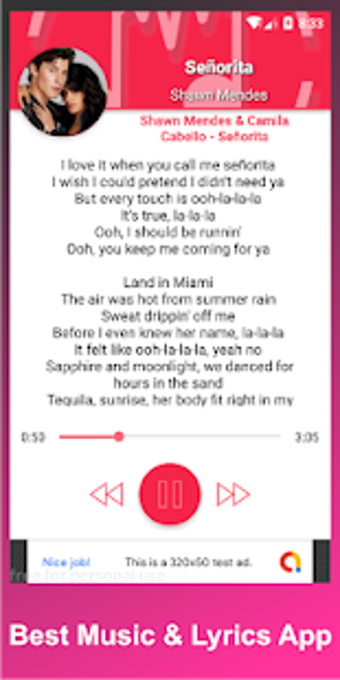 Image 3 for Shawn Mendes - Senorita
