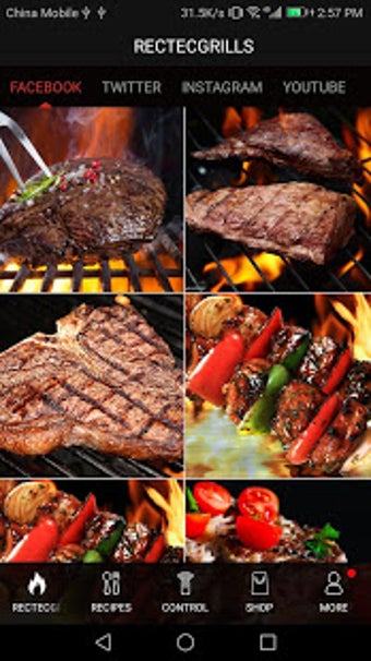Imagen 0 para REC TEC Grills
