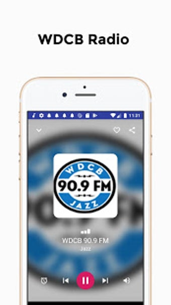 Image 2 for WDCB Radio 90.9 FM