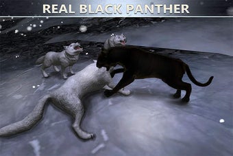 Image 0 for 2016 Black Panther Simula…