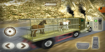 Image 0 for Wild Horse Zoo Transport …