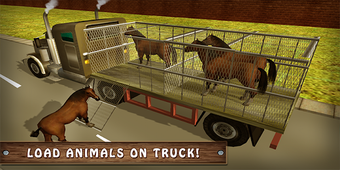 Image 2 for Wild Horse Zoo Transport …