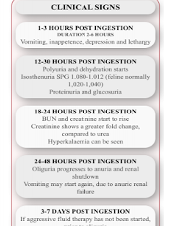 Imagen 3 para Pet Poison App VETCPD