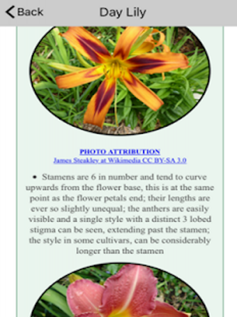 Image 0 for Pet Poison App VETCPD