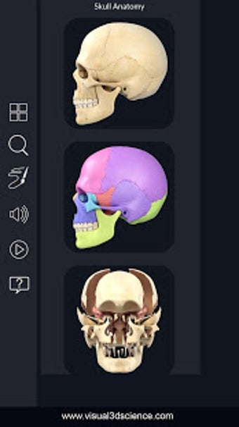 Image 0 for My Skull Anatomy