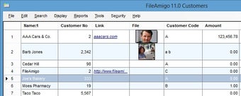 Image 0 for FileAmigo LE