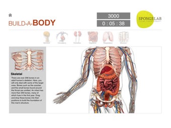 Image 1 for Build a Body