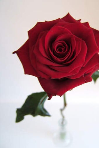 Image 0 for Choice of Romance: Affair…