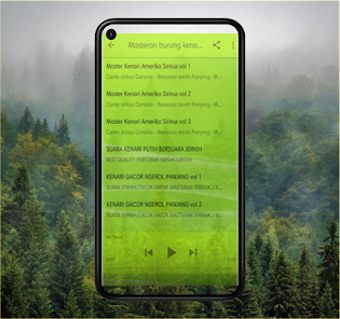 Imagen 0 para Master Kicau Kenari Juara