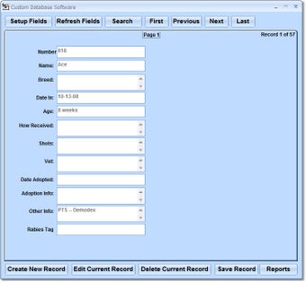 Imagen 0 para Custom Database Software