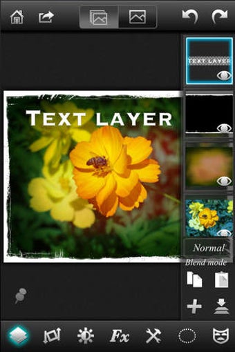 Image 0 for Leonardo - Layers, Select…