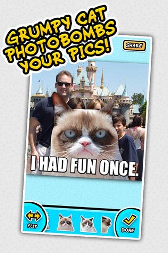 Imagen 0 para GrumpyBomb - Grumpy Cat P…