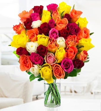 Image 3 for Flowers And Roses Animate…