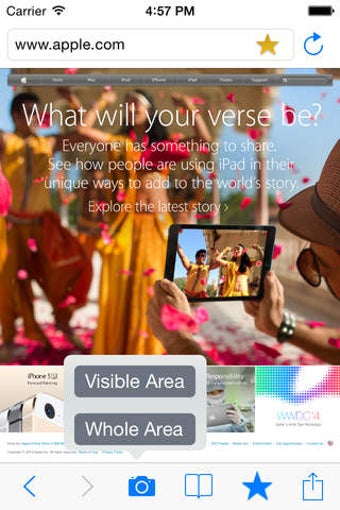 Image 0 for Web2Pics - Capture visibl…