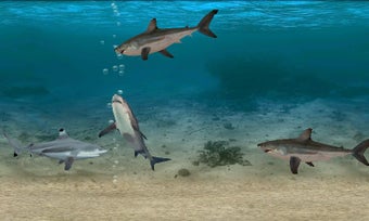 Image 2 for Fish Farm