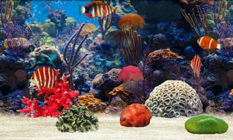 Image 3 for Fish Farm
