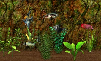 Image 1 for Fish Farm