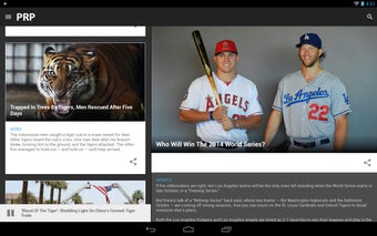 Imagen 3 para Public Radio Player