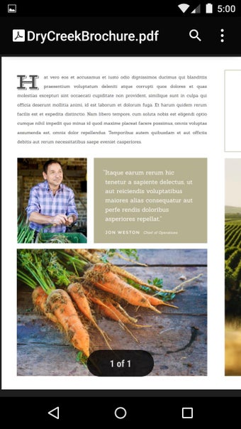 Imagen 1 para Google PDF Viewer