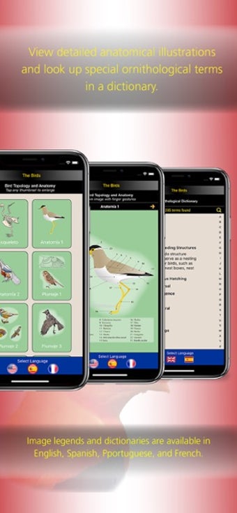Image 0 for The Birds of Peru
