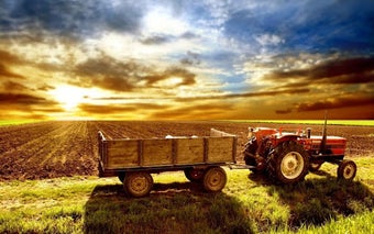 Imagen 1 para Tractor Game - Ferguson 3…
