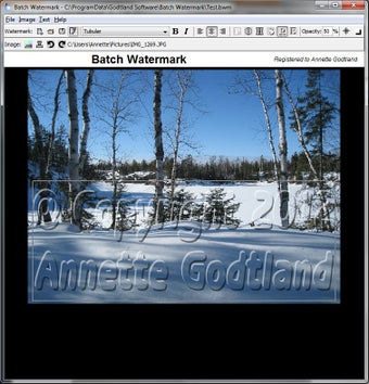 Imagen 2 para Batch Watermark