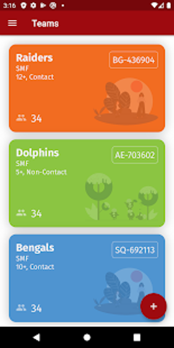 Image 2 for Coach Planner: USA Footba…