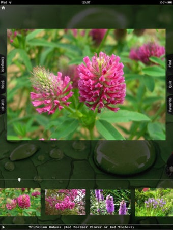 Image 0 for Flower Collection HD