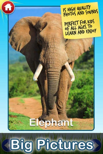 Image 0 for Zoo Sounds Lite - A Fun A…