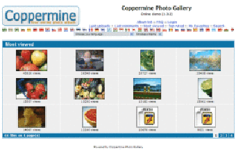 Image 0 for BitNami Coppermine Photo …