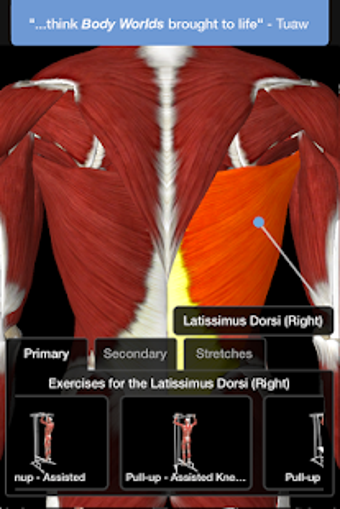 Imagen 2 para iMuscle 2