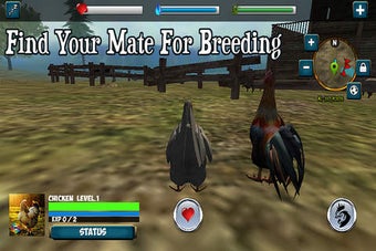Image 0 for My Chicken Simulator