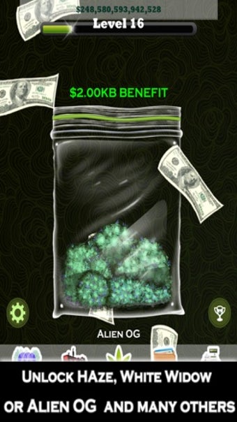 Imagen 3 para Weed Bud Firm Inc- Ganja …