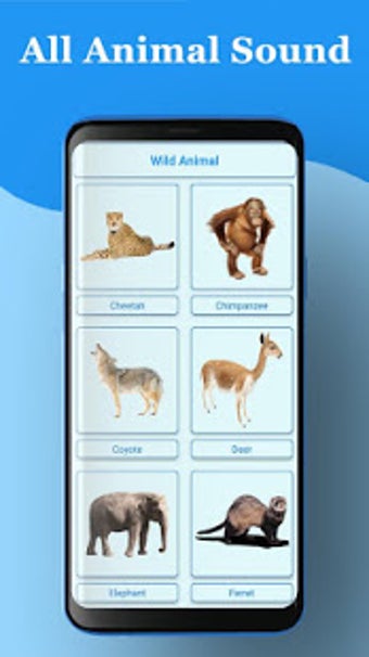 Image 3 for All Animal Sound