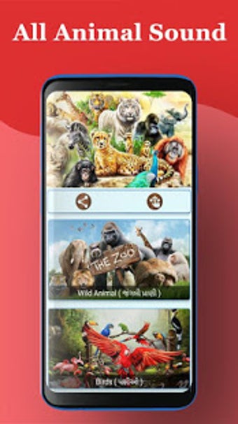 Image 1 for All Animal Sound
