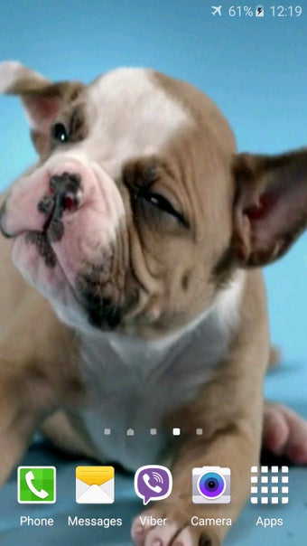Imagen 1 para Cute Puppies Video Wallpa…
