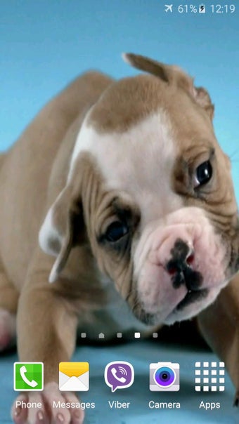 Imagen 3 para Cute Puppies Video Wallpa…