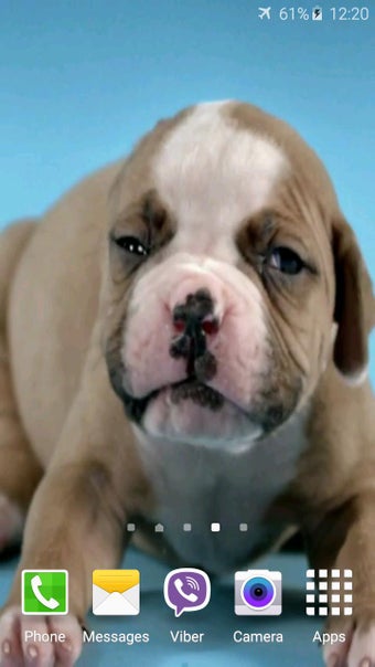 Imagen 0 para Cute Puppies Video Wallpa…