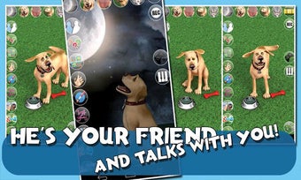 Imagen 0 para Talking John Dog & SB Del…